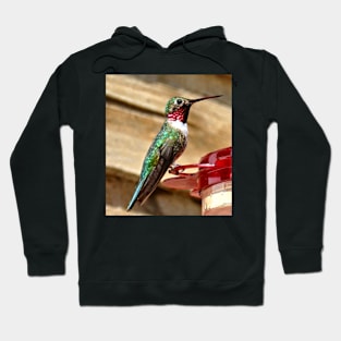 Hummingbird Hoodie